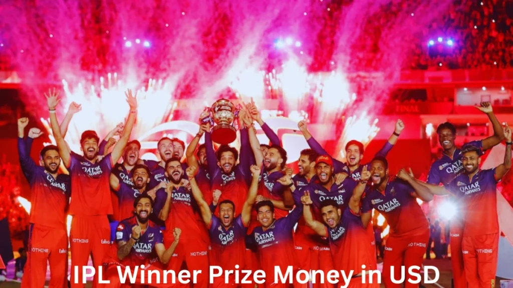 IPL Winner Prize Money in USD