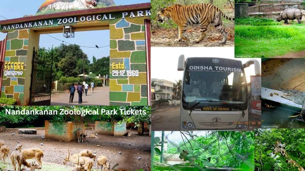 Nandankanan Zoological Park Tickets