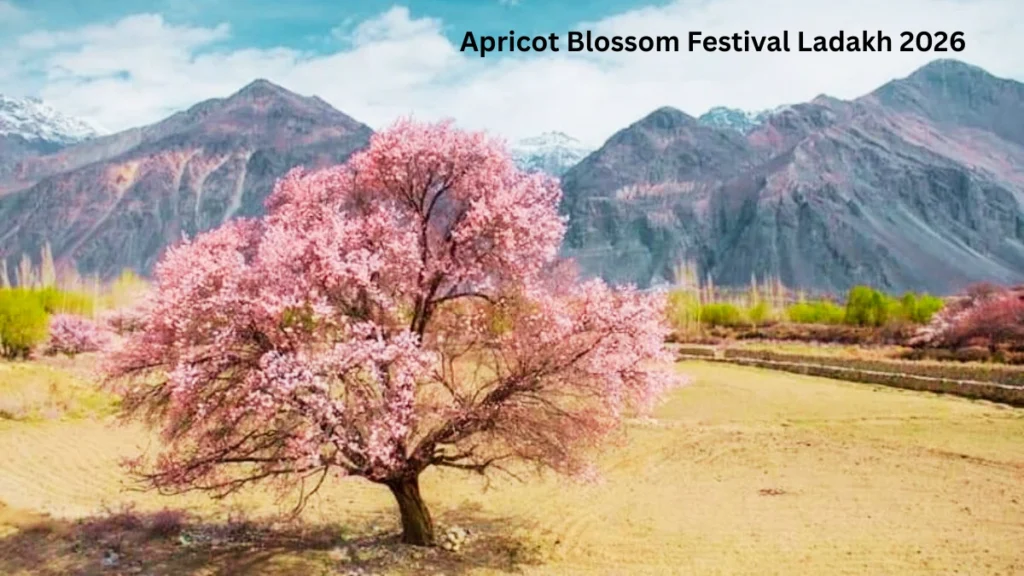 Apricot Blossom Festival Ladakh 2026