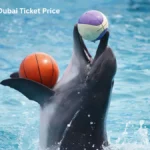 Dolphinarium Dubai Ticket Price
