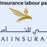 Dubai Insurance labour payment
