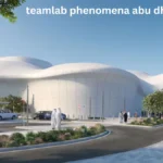 teamlab phenomena abu dhabi tickets