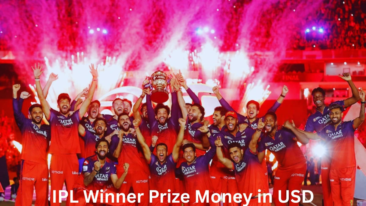 IPL Winner Prize Money in USD