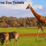 Melbourne Zoo Tickets