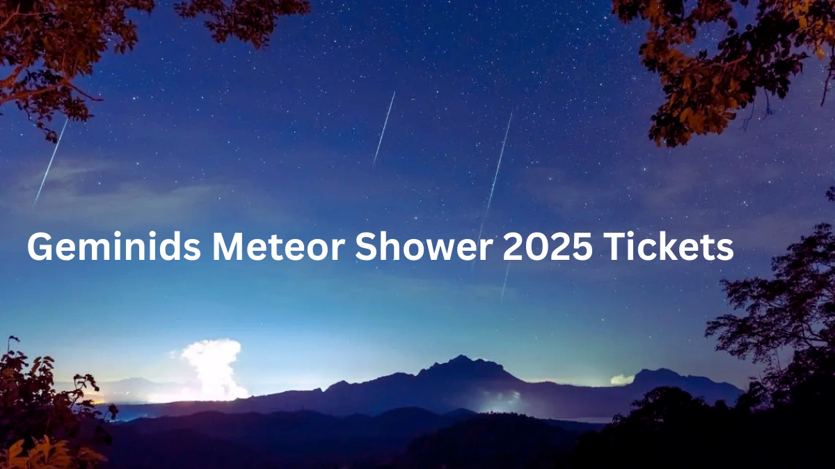 Geminids Meteor Shower 2025 Tickets
