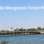 Kalba Mangroves Ticket Price
