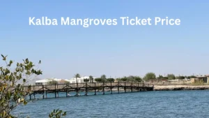 Kalba Mangroves Ticket Price