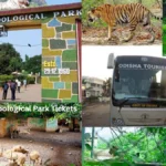 Nandankanan Zoological Park Tickets