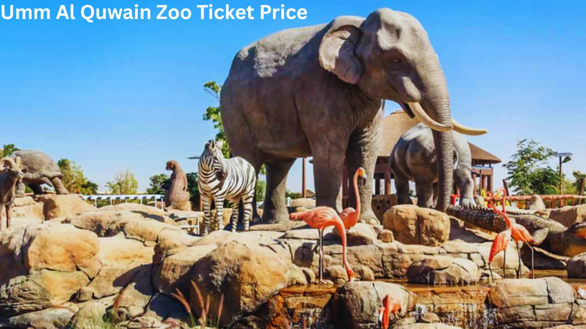 Umm Al Quwain Zoo Ticket Price