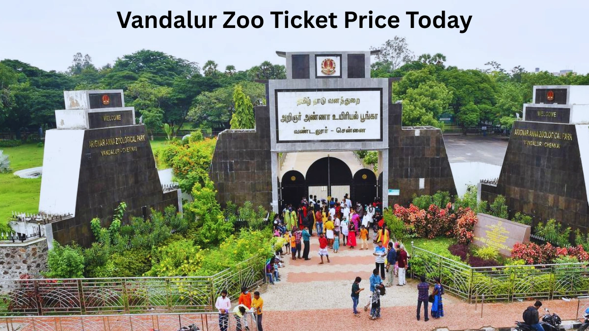 Vandalur Zoo Ticket Price Today