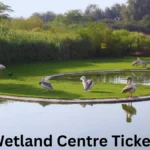 Wasit Wetland Centre Tickets