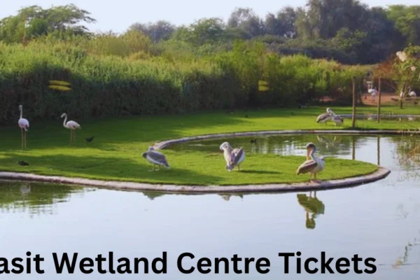 Wasit Wetland Centre Tickets