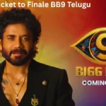who won ticket to finale bb9 telugu