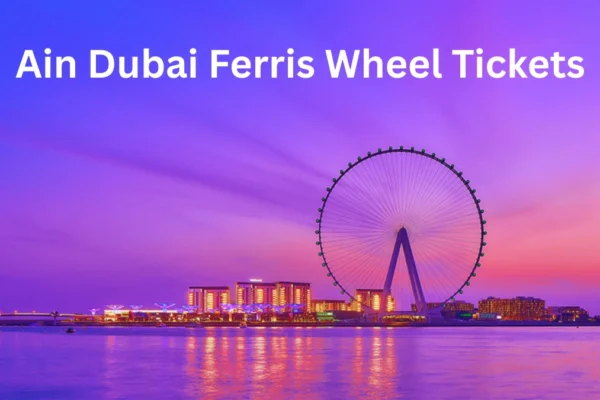 Ain Dubai Ferris Wheel Tickets