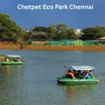 Chetpet Eco Park Chennai