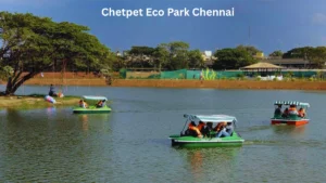 Chetpet Eco Park Chennai