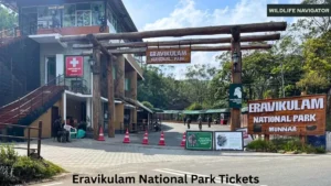 Eravikulam National Park Tickets