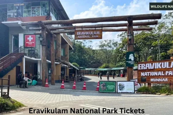 Eravikulam National Park Tickets