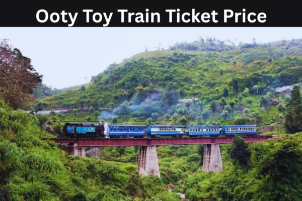 Ooty Toy Train Ticket Price