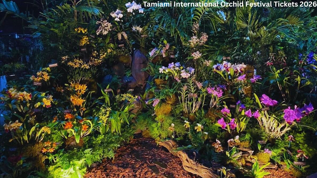 Tamiami International Orchid Festival Tickets 2026
