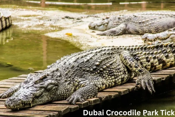 Dubai Crocodile Park Tickets