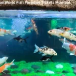 EsselWorld Fish Paradise Tickets Mumbai