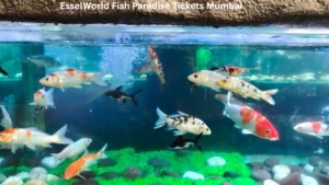 EsselWorld Fish Paradise Tickets Mumbai