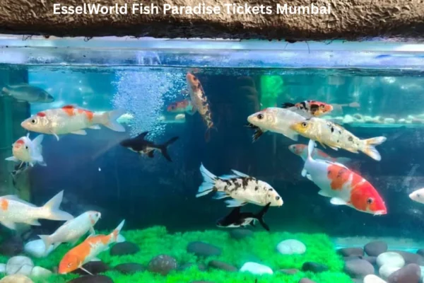 EsselWorld Fish Paradise Tickets Mumbai