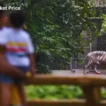 Delhi Zoo Ticket Price
