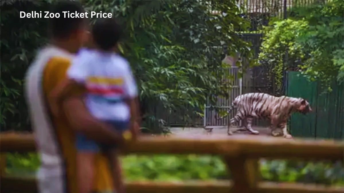 Delhi Zoo Ticket Price