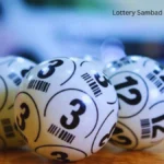Lottery Sambad Results Today