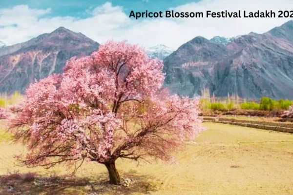 Apricot Blossom Festival Ladakh 2026