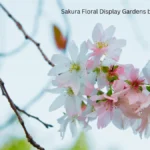 Sakura Floral Display Gardens by the Bay 2026