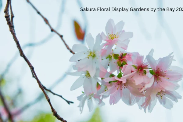 Sakura Floral Display Gardens by the Bay 2026