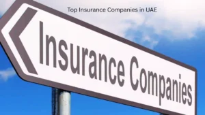 Top Insurance Companies in UAE