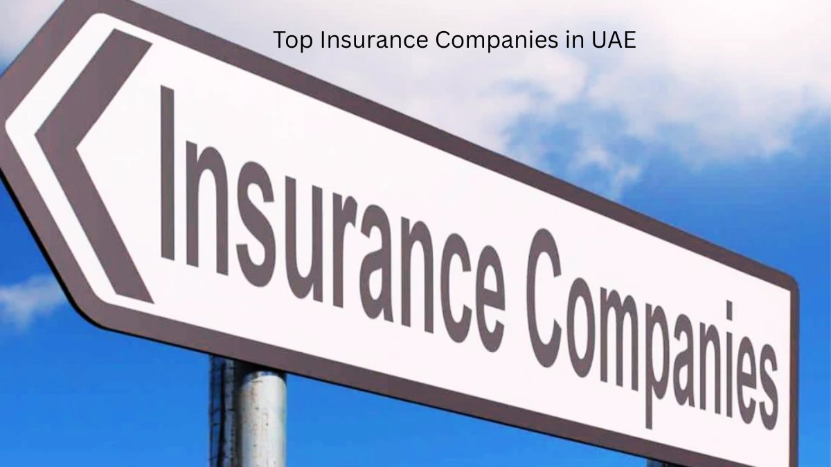 Top Insurance Companies in UAE